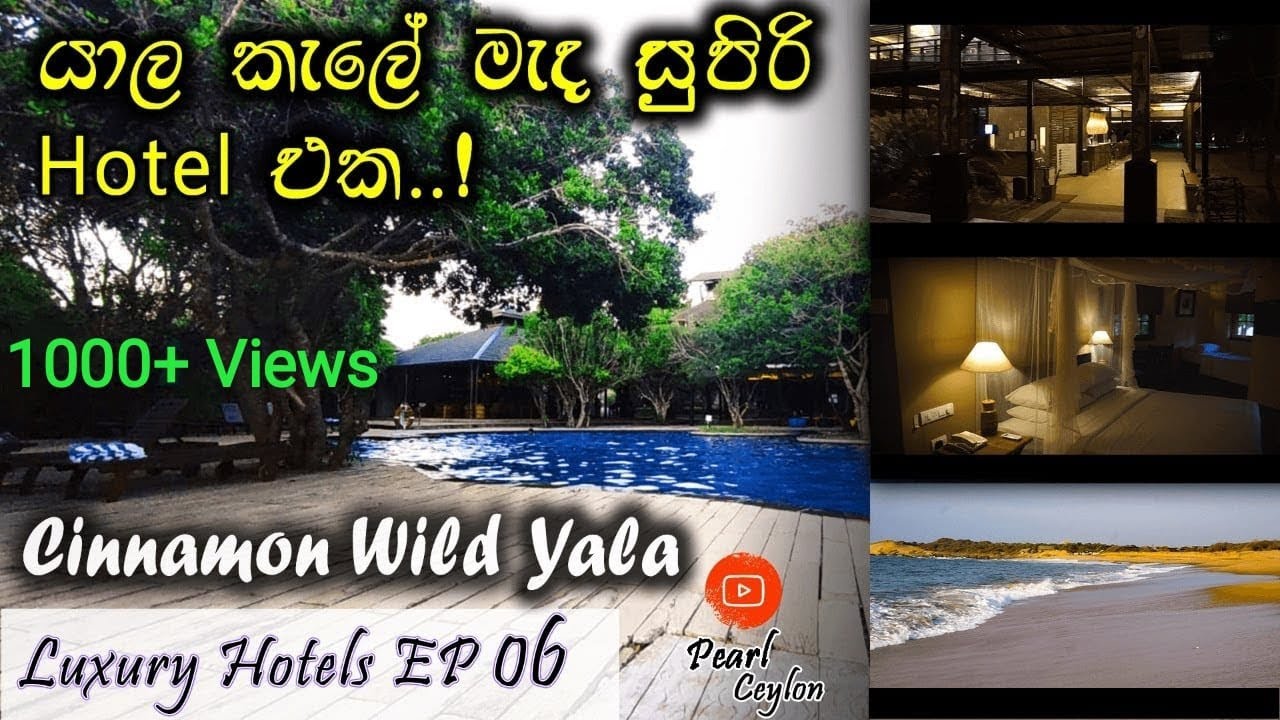 Cinnamon Wild Yala  | Luxury Hotel | Vlog 12