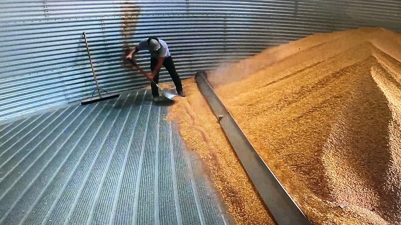 Hauling Away 6 Year Old Grain and Spraying Fungicide Continues..... Season 2 Episode 16