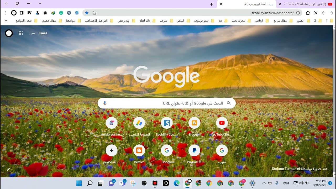 شروط قبول موقعك في جوجل أدسنس Google AdSense خلال 48 ساعة فقط
