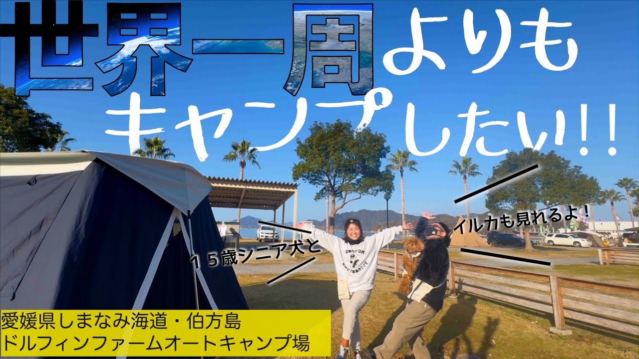 ⑤【夫婦キャンプ】40,50代夫婦/犬連れOK！イルカを見ながらキャンプ！１２５