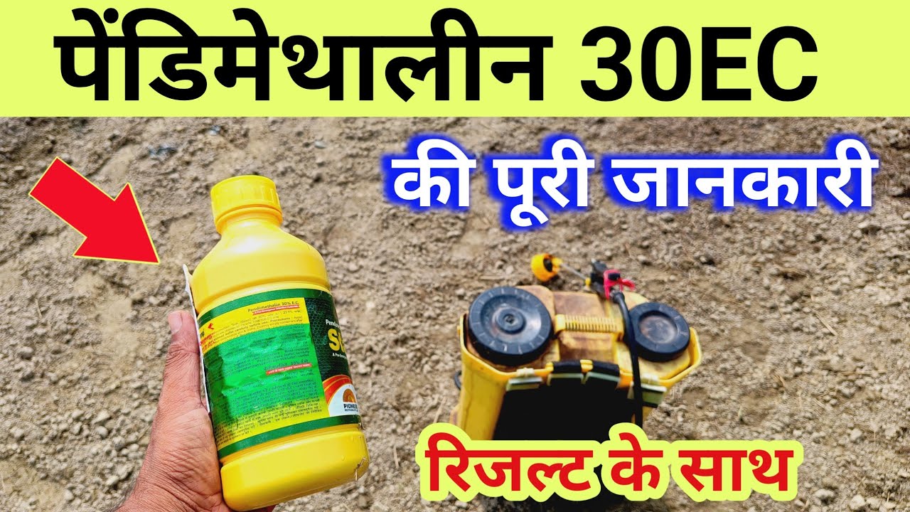 Pendimethalin 30 ec use in hindi / pendimethalin 30 ec herbicide / पेंडीमेथिलीन का उपयोग कैसे करें