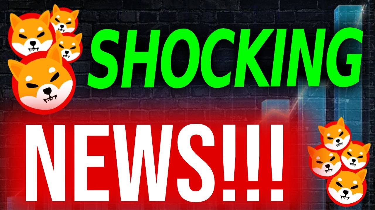 BREAKING: RECENT MESSAGE OF SHIBA INU CEO SHOCKED THE ENTIRE COMMUNITY!!! - EXPLAINED