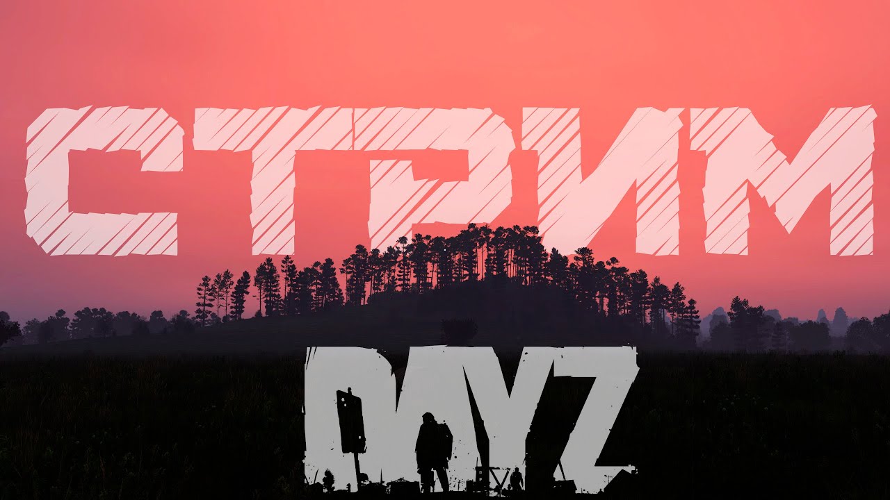 Обычный день в обычный DAYZ
