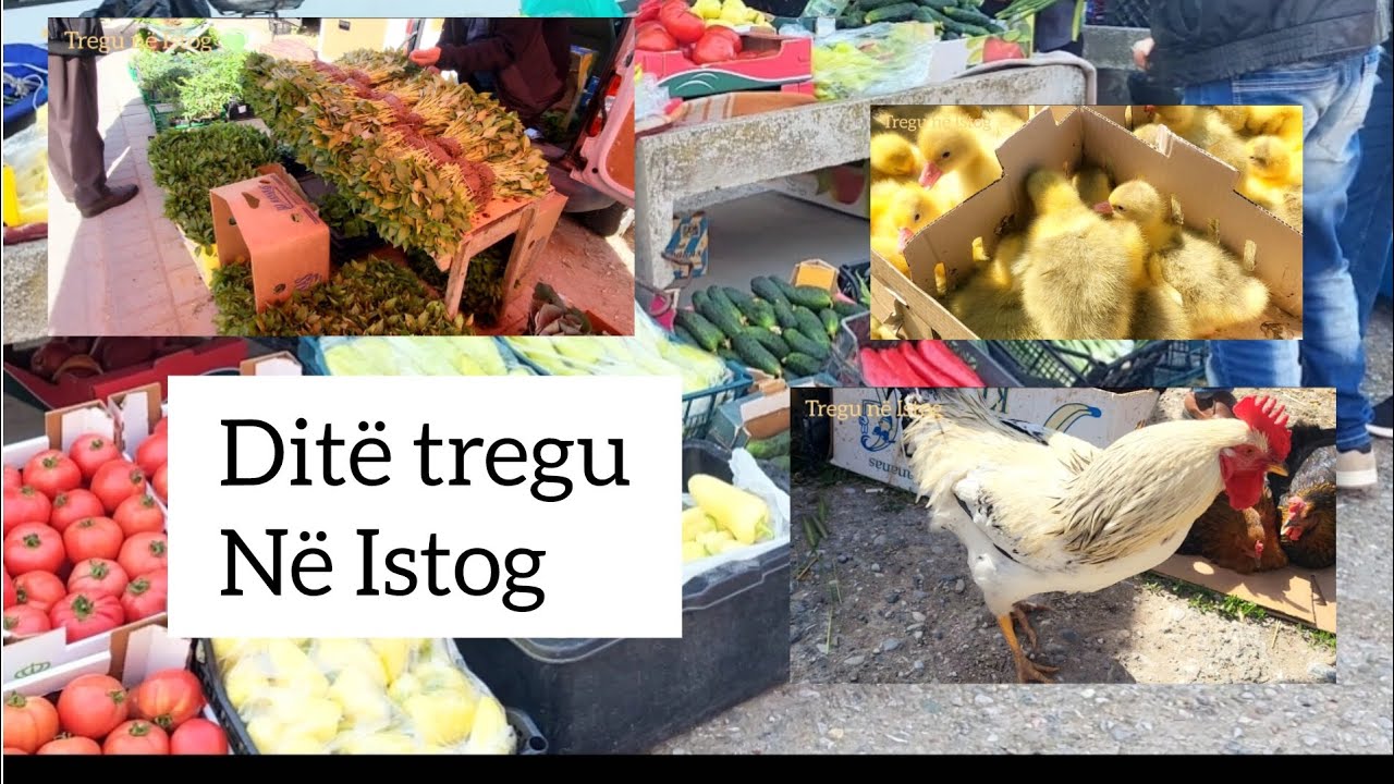 Nj&euml; dit&euml; tregu n&euml; Istog!