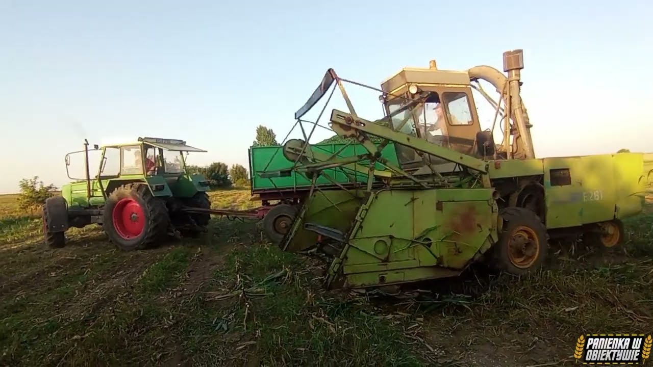 🇵🇱 Koszenie kukurydzy 2023 | Fortschritt w akcji | koparko-ładowarka na kiszonce | Fendt & Landini