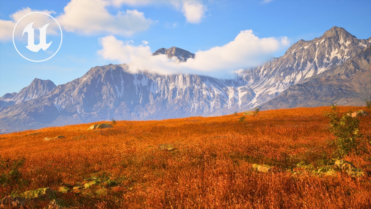 Создание оптимизированного PCG GRASS в Unreal Engine 5 (граф для повторного использования)