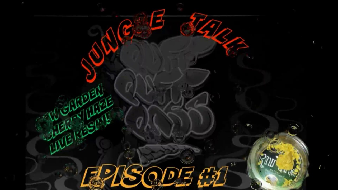 Jungle Talk EPISODE #1 (RAW GARDEN LIVE RESIN)