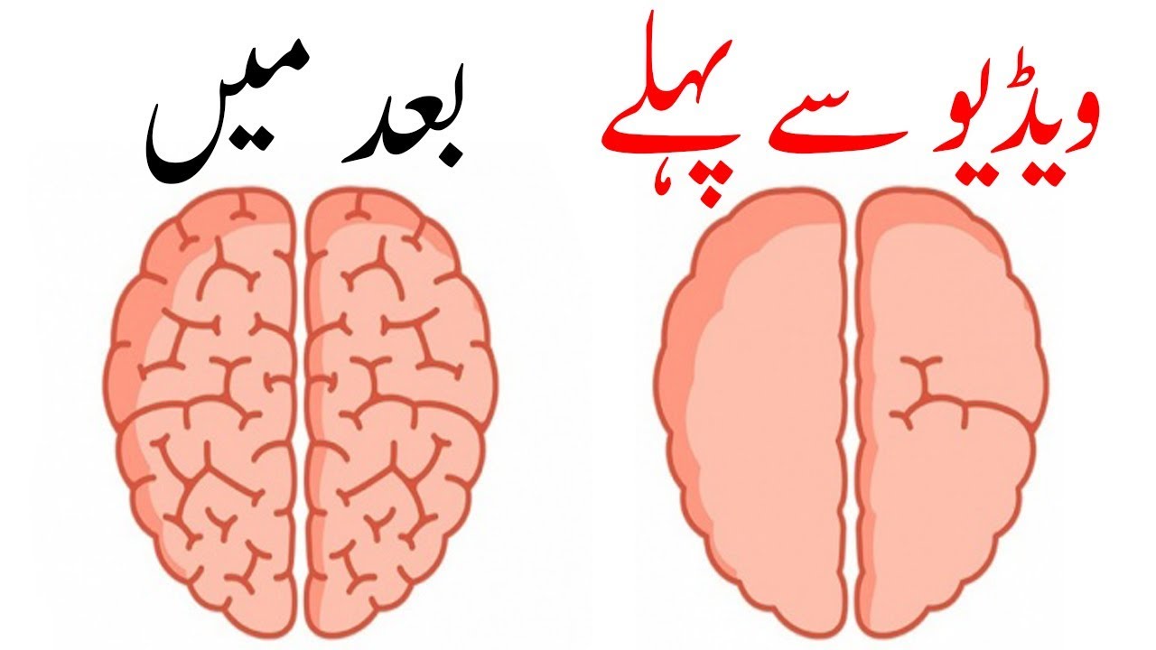 Increase Your Brain Power - What is Flow State of Mind
