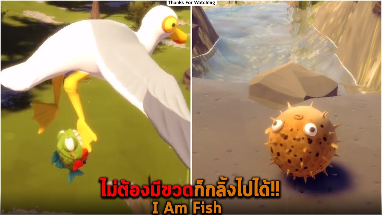 ไม่ต้องมีขวดก็กลิ้งไปได้ I Am Fish