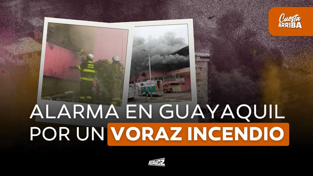 El tema del día, explicado