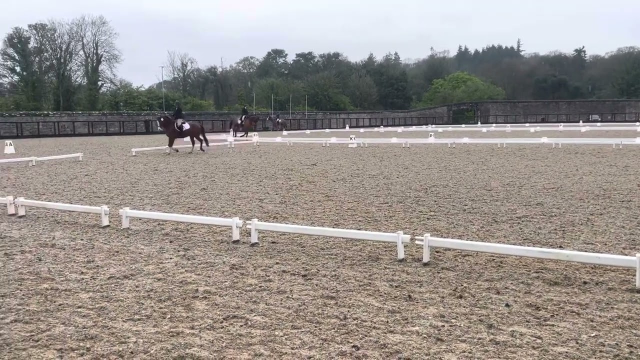 Banksy’s first dressage test - Dressage Ireland Prelim 6 - Necarne 🥉