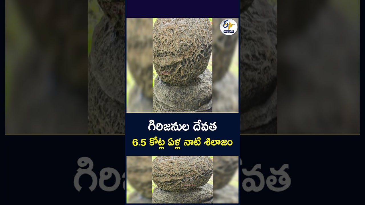 గిరిజనుల దేవత 6 5 కోట్ల ఏళ్ల నాటి శిలాజం