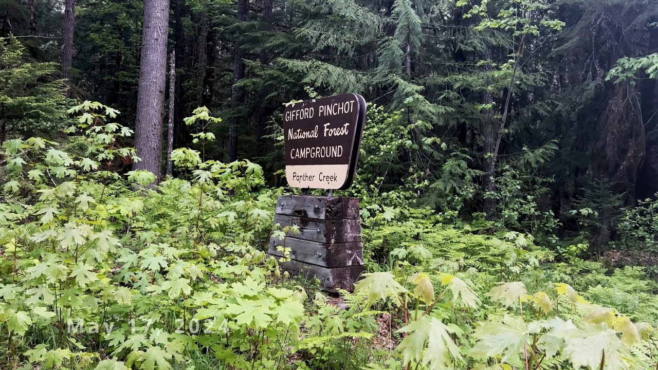 (4K UHD) REVIEWING EACH CAMPSITE @ Panther Creek Campground! | Gifford Pinchot NF | Washington