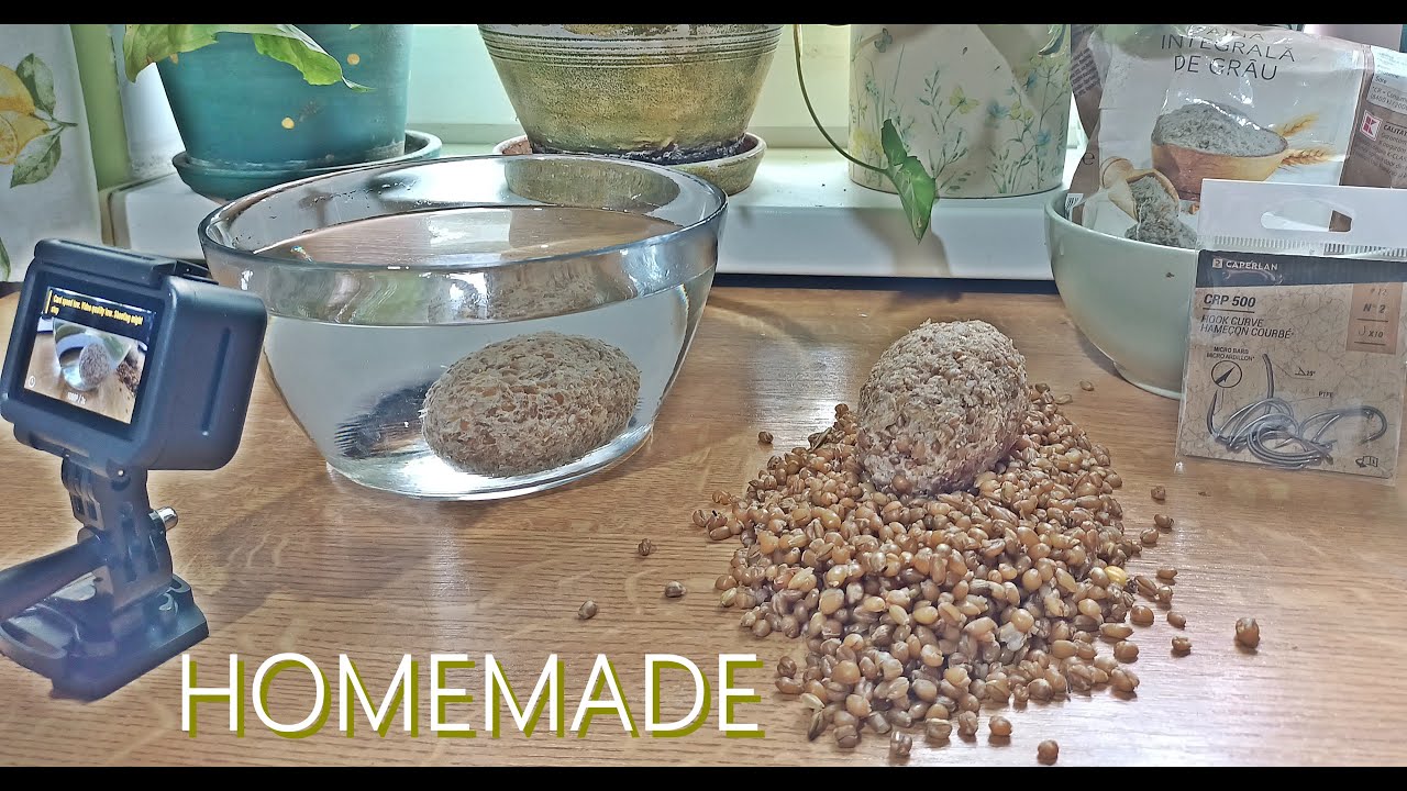 PESCUIT cu ARPACAȘ pentru DUNĂRE sau ape SĂLBATICE / Cum se prepară pentru MOMITOR !!!