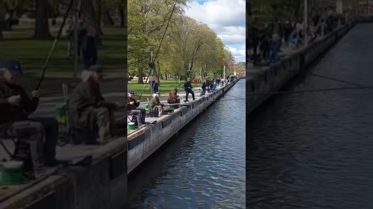 Fishing Herring at Norrt&auml;lje Sweden