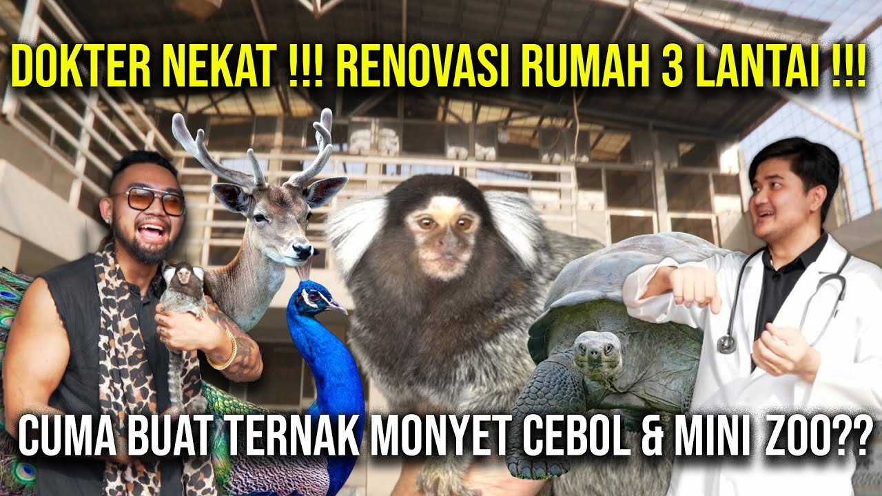 DOKTER NEKAT!!! RENOVASI RUMAH 3 LANTAI CUMA BUAT TERNAK MONYET CEBOL & MINI ZOO?? #indoexotic