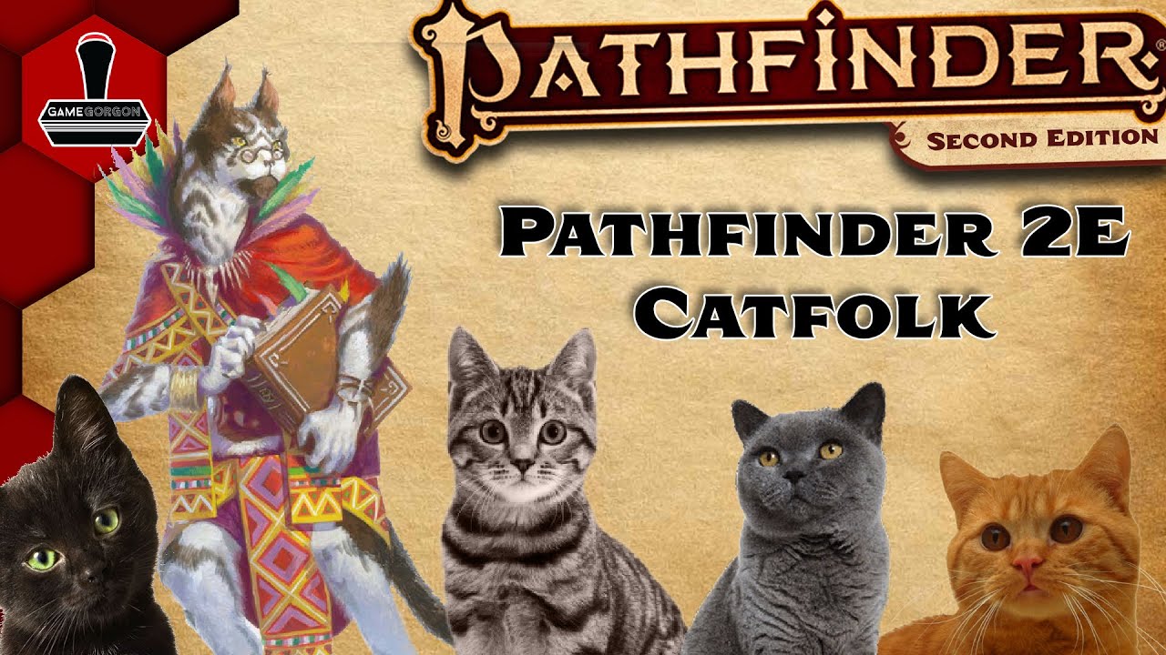 Всё о кошачьем народе из Pathfinder2e! | GameGorgon