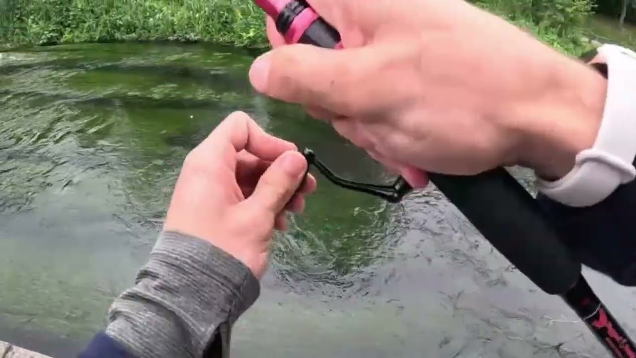Barbel and Chub Fishing in the River Wandle