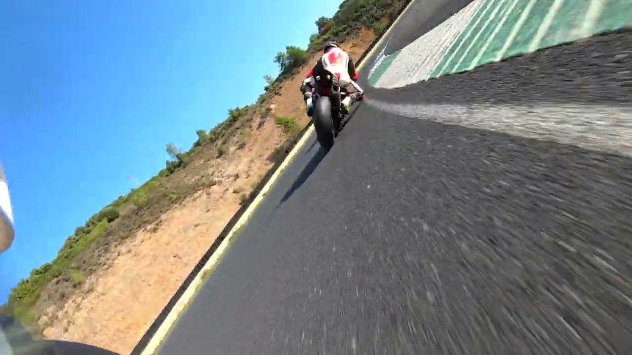 Aprilia rsv4 Ales