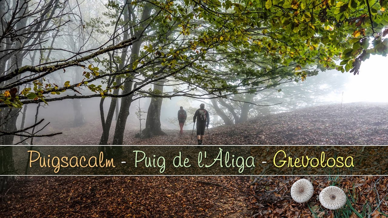 PUIGSACALM 2024 01