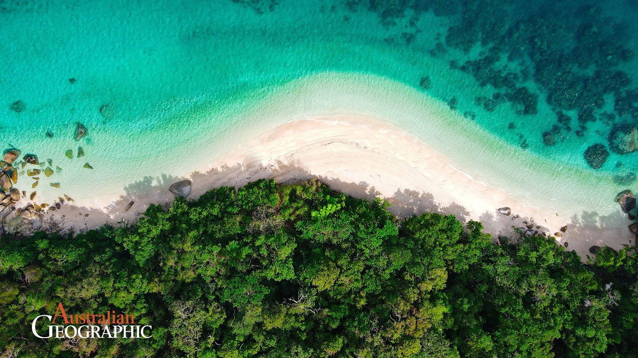 Why is Conserving Plant Species on Islands SO Important?