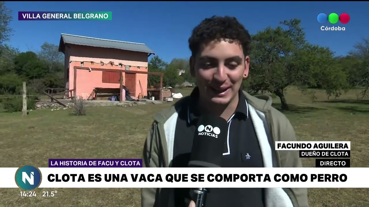 La historia viral de Clota, la vaca que Facundo rescató, curó y ahora es su mascota