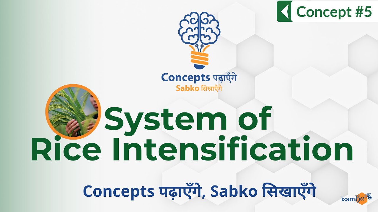 Concepts पढ़ाएँगे, Sabko सिखाएँगे | Concept 5 | System of Rice Intensification (SRI)