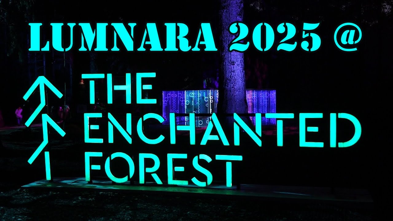The Enchanted Forest 2025 - 