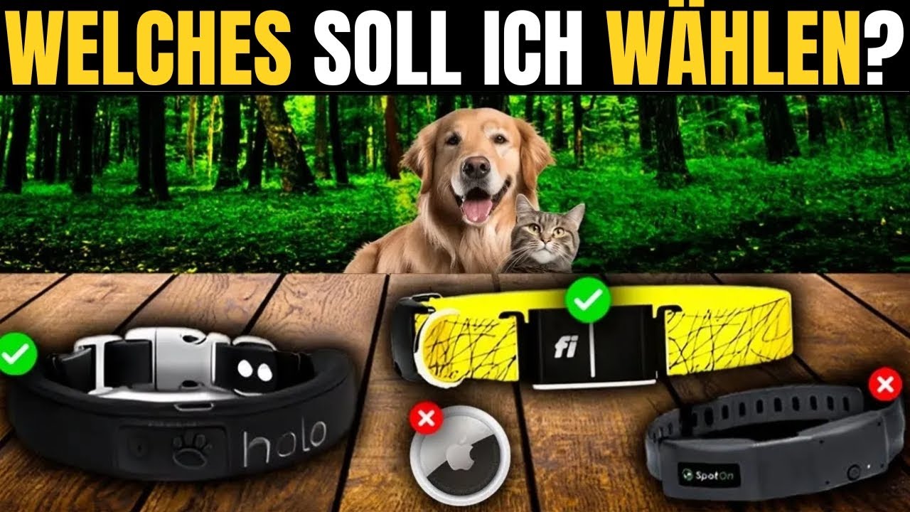 Die besten GPS Tracker für Haustiere 2026 [Kaufen Sie keinen, bevor Sie dies gesehen haben]