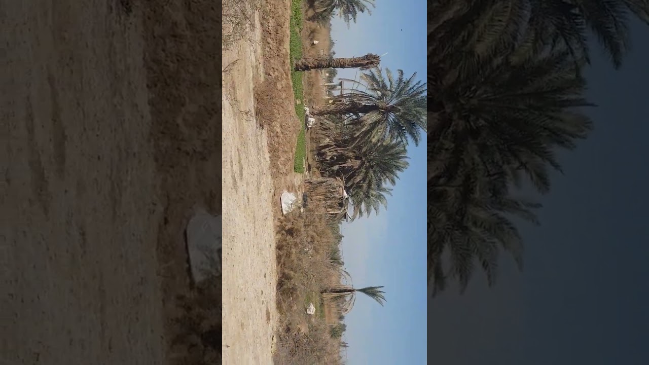 ٤ مارس ٢٠٢٦