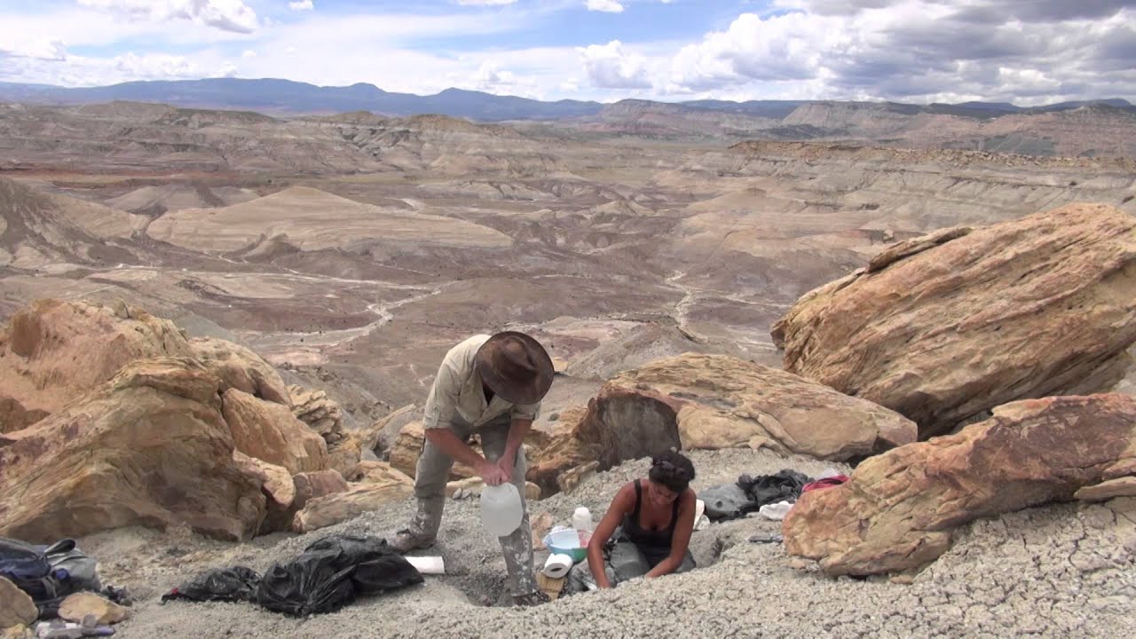 Paleontology 101: The Utah 2014 Expedition