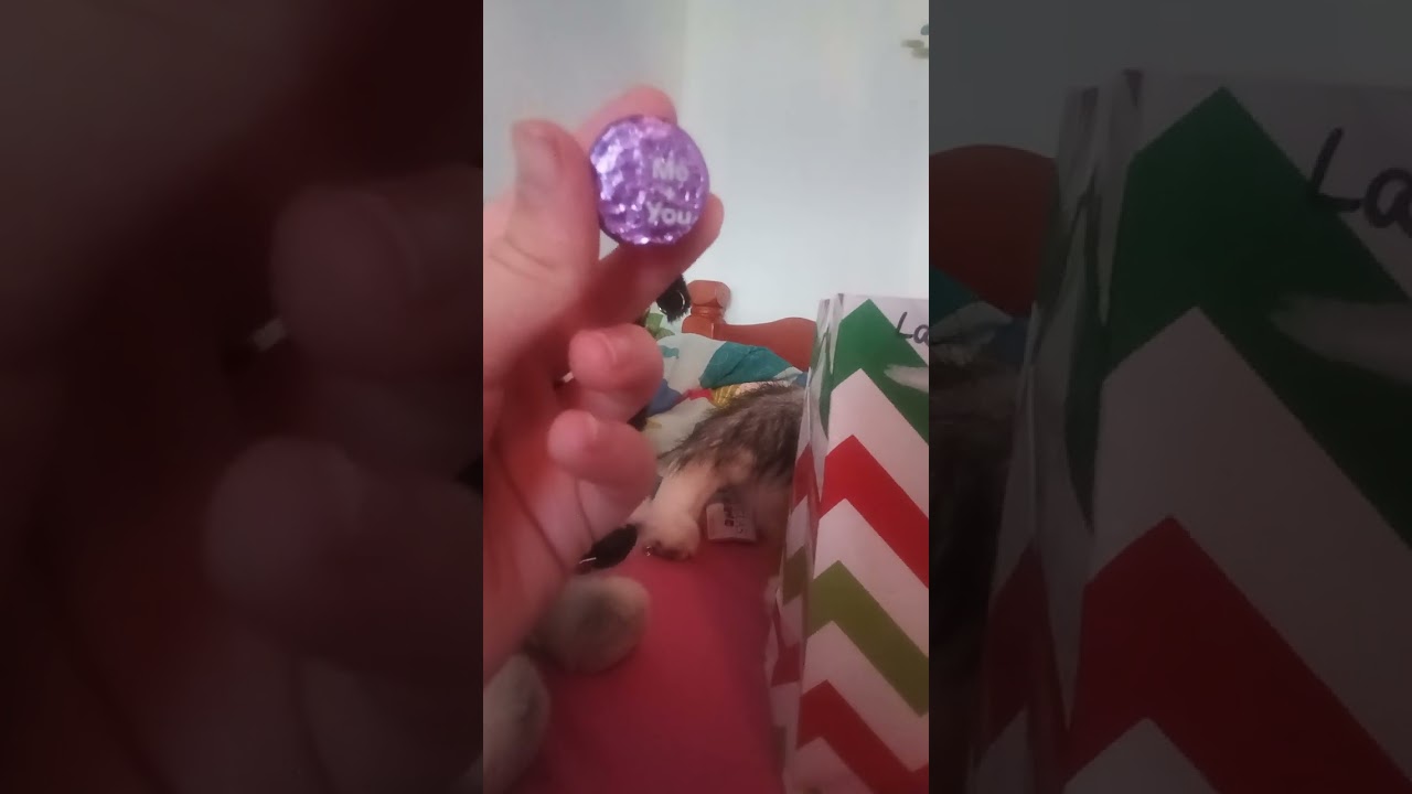 Opening gifts🌼🌺