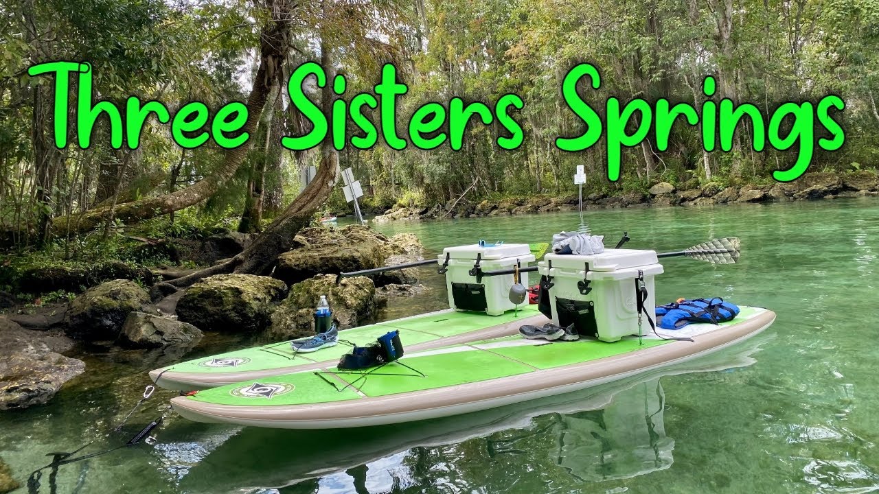 Paddle Boarding In Crystal River's Three Sisters Springs