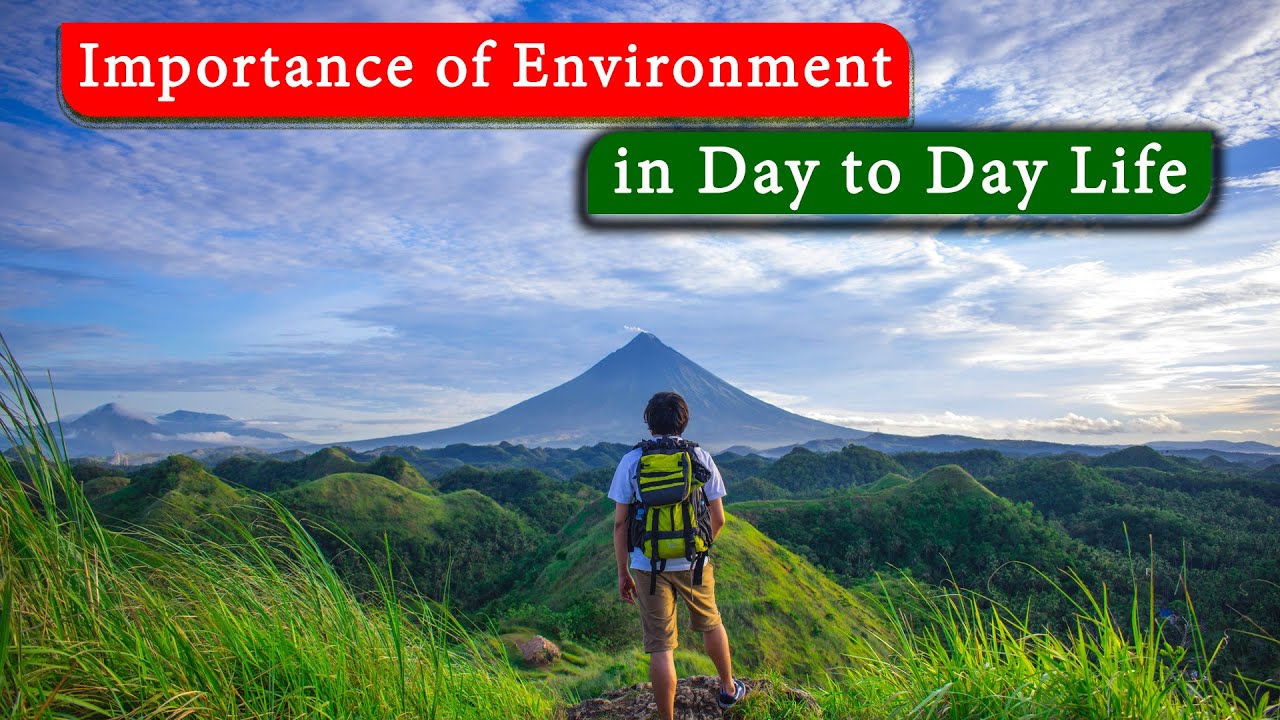 Importance of Environment in Day to Day Life in English
