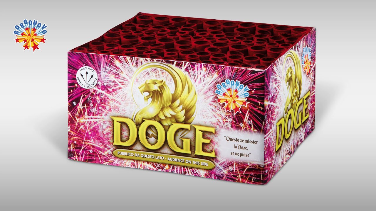 0954B Doge
