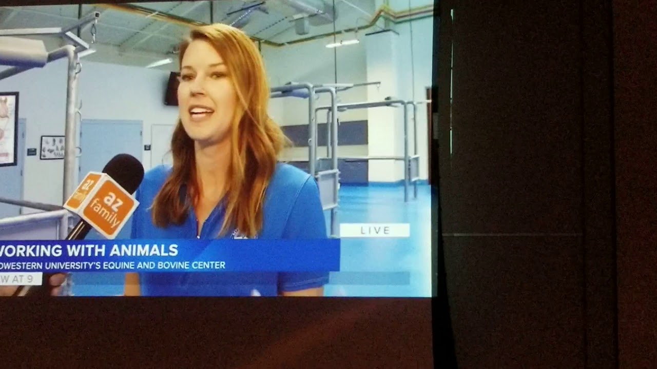 Sunwoo appears in live news July 15. 2019