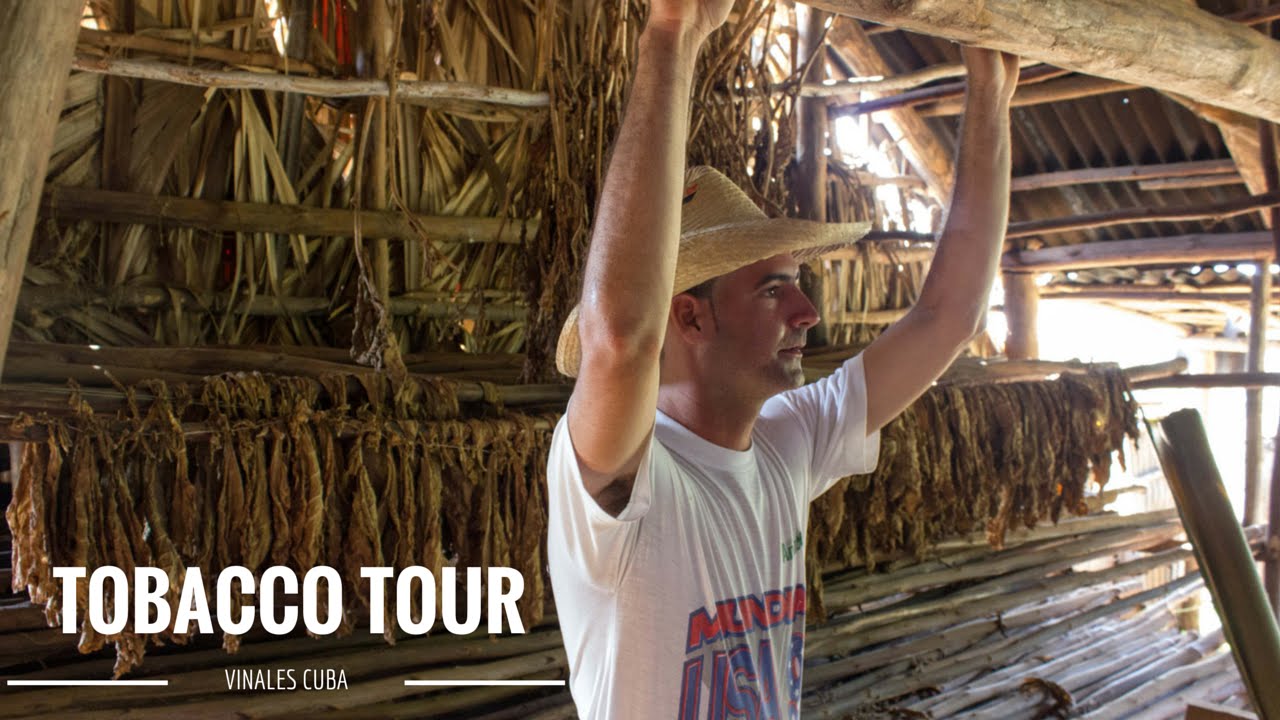 Vinales, Cuba - Touring a Tobacco Farm