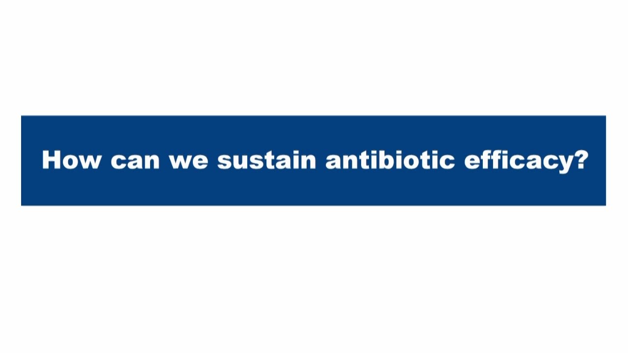 How can we sustain antibiotic efficacy?  |  World Antimicrobial Awareness Week 2020