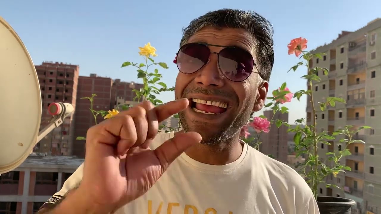 মিশরের ভাষা  শিক্ষা। Egyptian language education