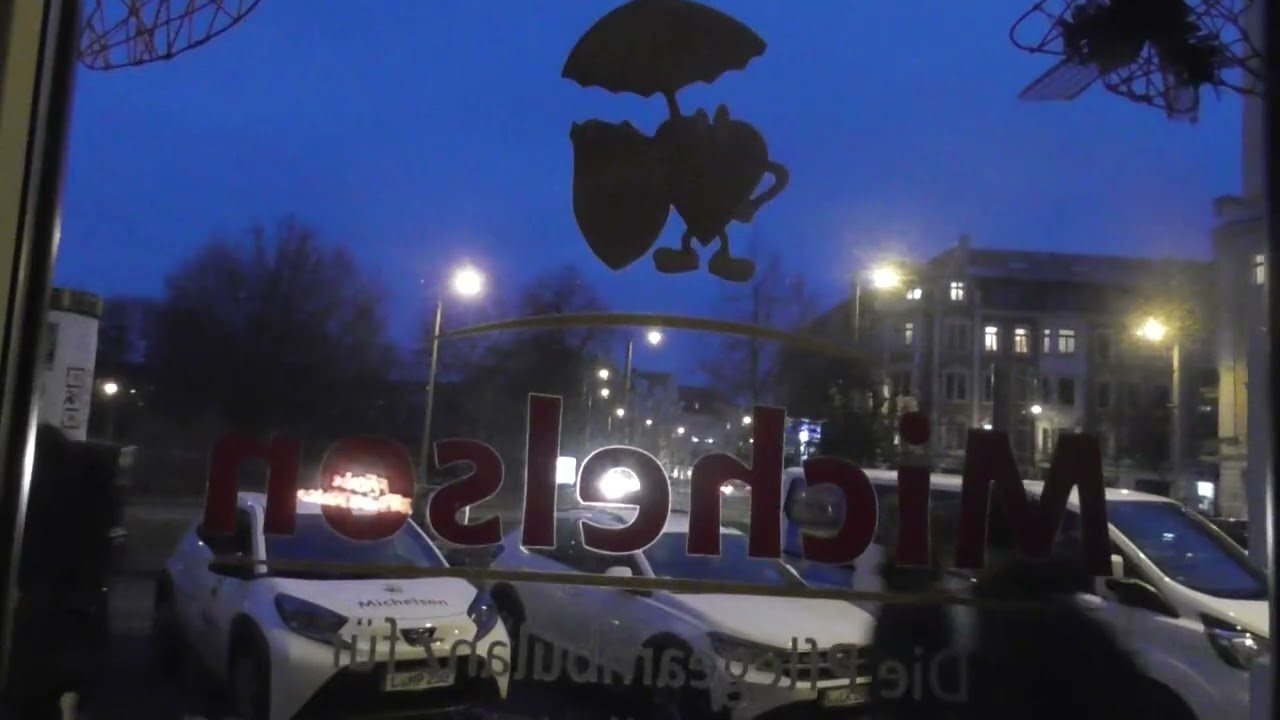 Ёлка в бюро Михельсон возле городского парка сквера Рамдорф. Видео 1