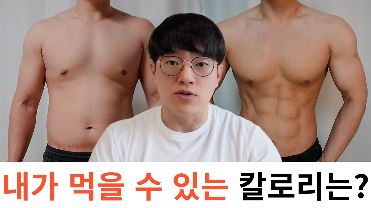 다이어트 식단 완벽 가이드