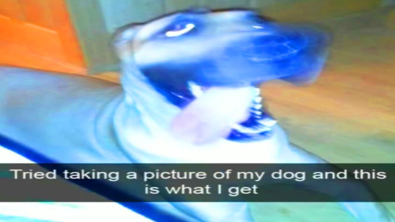 memes that will lobotomize you v2