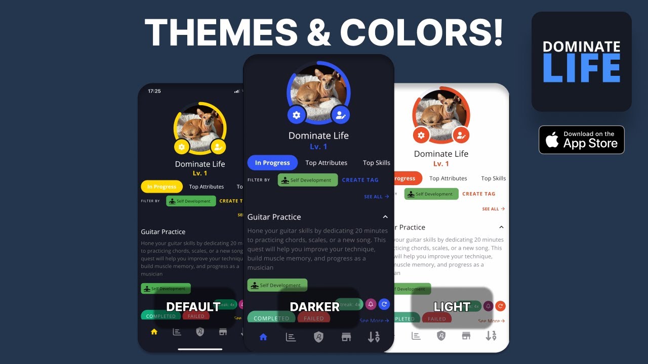 Customize Your Dominate Life App Experience with Themes & Colors