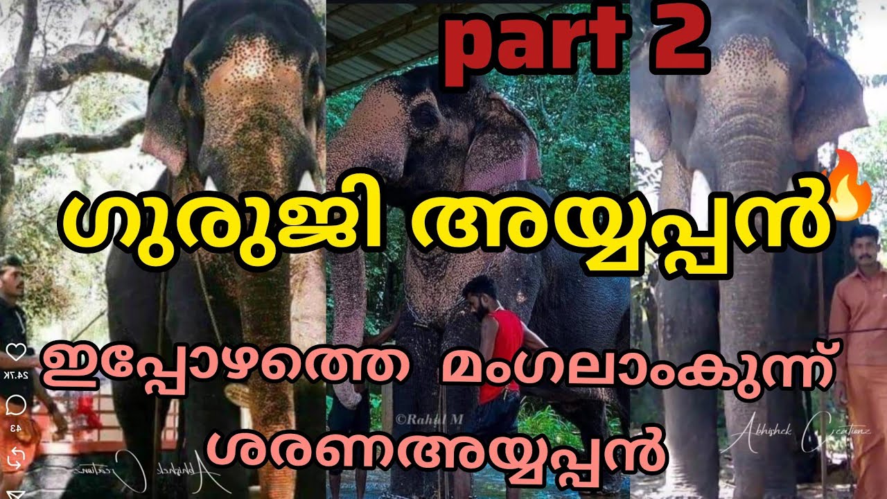 അയ്യപ്പന് എല്ലം മനസ്സിലാകും.ഒരു ആളോട് സംസാരിക്കുന്നതു പോലെ അവനോടു സംസാരിക്കാം♥️/elephant story/#aana