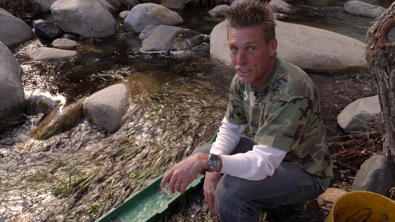 King of the Kern Sluice Fox
