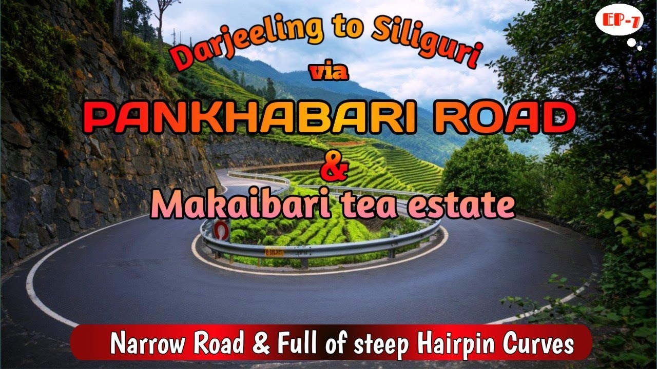 Self drive Darjeeling to Siliguri through Pankhabari Road I Makaibari Tea Estate I100% Road Coverage