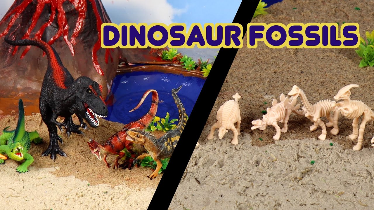 The Great Fossil Hunt for Kids! Digging for Dinosaurs