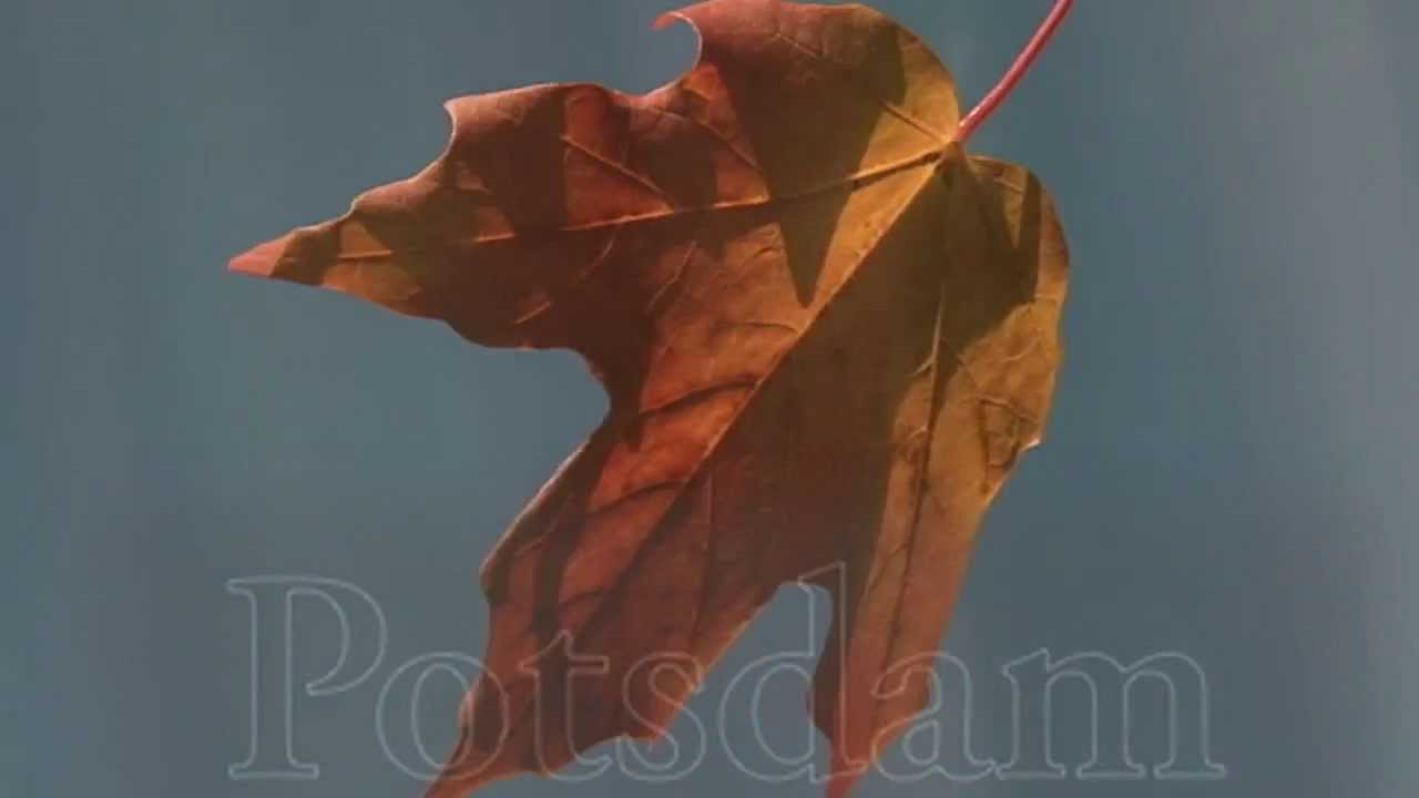SUNY Potsdam FALL