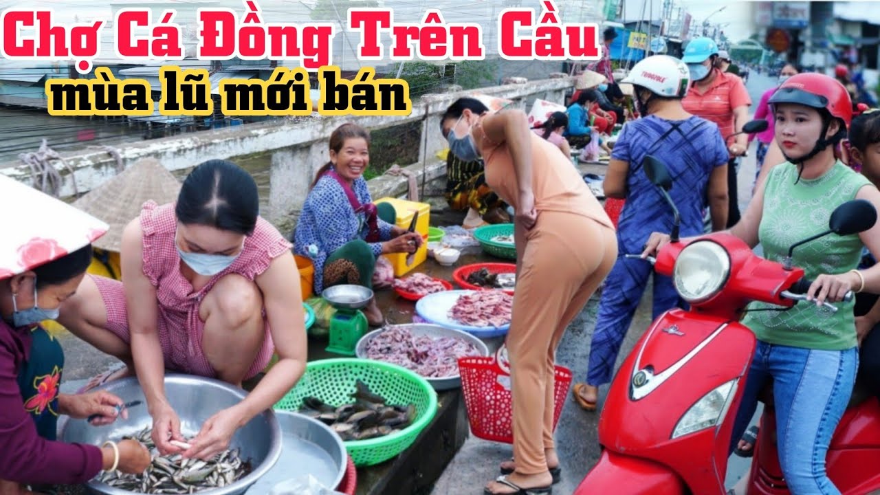 Quá đẹp Chợ Cá Đồng Trên Cầu chỉ có vào mùa nước nổi ở Miền Tây