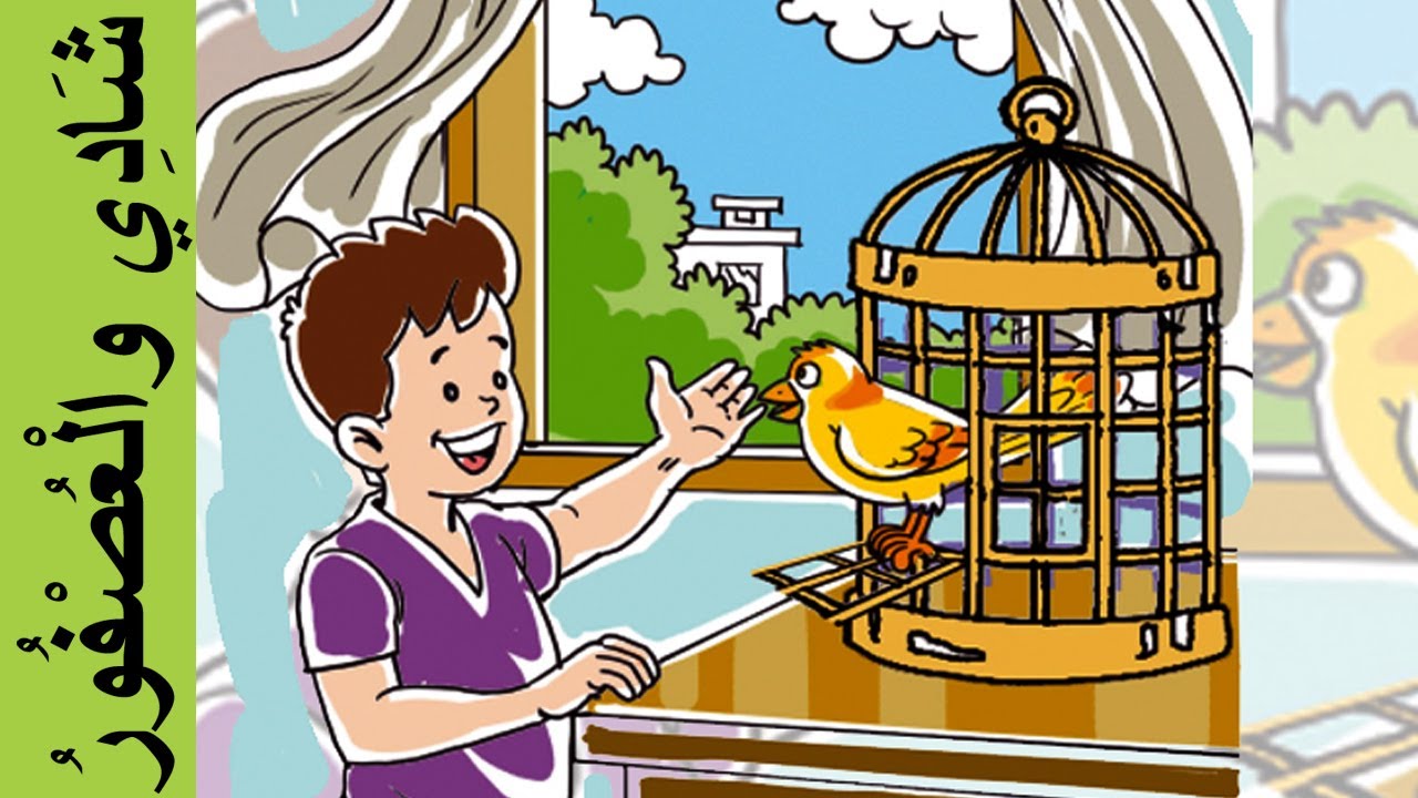 شادي و العصفور - المفيد في اللغة العربية المستوى الأول - Shadi and the bird